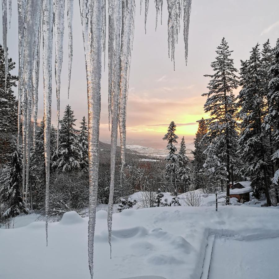 Spirit Lodge At Silverstar Вернон Экстерьер фото